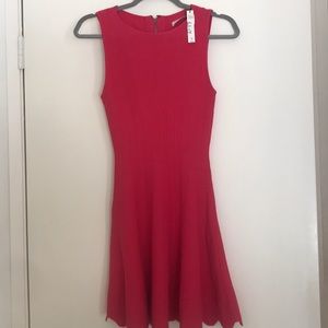 Alice + Olivia with tags